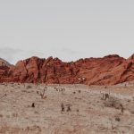 landscape photography of mountain