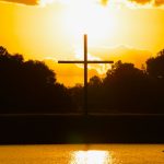 silhouette of trees near body of water during sunset