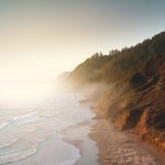 cliff with trees near shore during daytime