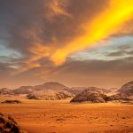 brown field at daytime