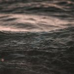 a body of water that is very close to the shore