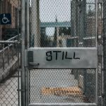selective focus photography of closed mesh gate with still free paint
