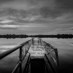 grayscale photography of dock far from trees