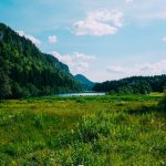 green grass field and mountain